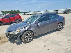 1HGCR3F81HA029368 2017 HONDA ACCORD