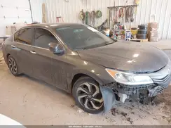 1HGCR3F81HA032240 2017 HONDA ACCORD