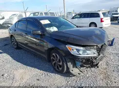 1HGCR3F83HA036192 2017 HONDA ACCORD