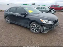 1HGCR3F83HA036662 2017 HONDA ACCORD