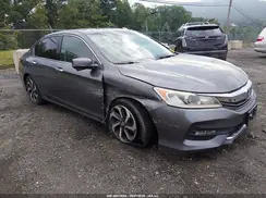 1HGCR3F84HA023760 2017 HONDA ACCORD