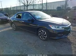 1HGCR3F85GA034667 2016 HONDA ACCORD