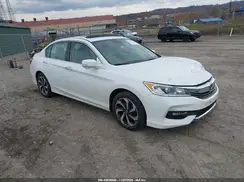 1HGCR3F86HA007656 2017 HONDA ACCORD