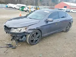 1HGCR3F86HA033903 2017 HONDA ACCORD