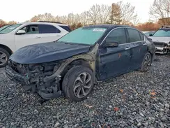 1HGCR3F87HA036972 2017 HONDA ACCORD