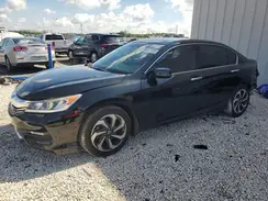 1HGCR3F88HA036656 2017 HONDA ACCORD