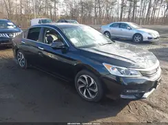 1HGCR3F89HA007845 2017 HONDA ACCORD