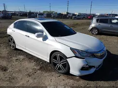 1HGCR3F91HA007170 2017 HONDA ACCORD