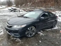 1HGCT1A76HA005863 2017 HONDA ACCORD