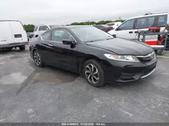 1HGCT1B32HA003720 2017 HONDA ACCORD