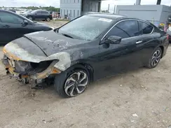 1HGCT1B36HA007530 2017 HONDA ACCORD