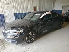1HGCT1B77HA003635 2017 HONDA ACCORD