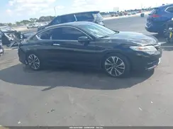 1HGCT1B80HA005025 2017 HONDA ACCORD