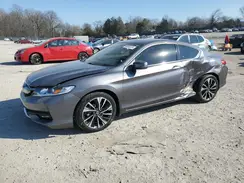 1HGCT1B80HA007342 2017 HONDA ACCORD