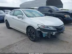 1HGCT1B83HA005567 2017 HONDA ACCORD
