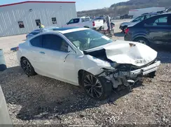1HGCT1B89HA005184 2017 HONDA ACCORD