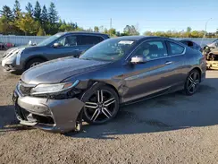 1HGCT2A95HA800233 2017 HONDA ACCORD