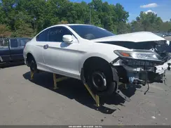 1HGCT2B06HA005806 2017 HONDA ACCORD
