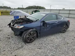 1HGCT2B85HA003681 2017 HONDA ACCORD