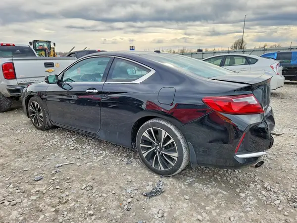 1HGCT2B89HA006146 2017 HONDA ACCORD - Image 2
