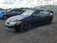 1HGCT2B94HA800464 2017 HONDA ACCORD