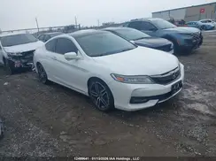 1HGCT2B95HA800277 2017 HONDA ACCORD