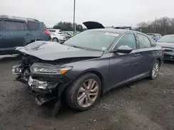1HGCV1F11KA038789 2019 HONDA ACCORD
