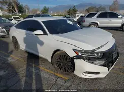 1HGCV1F31KA080834 2019 HONDA ACCORD