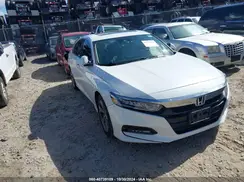 1HGCV1F56KA101517 2019 HONDA ACCORD