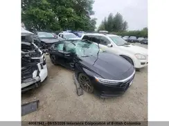 1HGCV2F96KA800784 2019 HONDA ACCORD