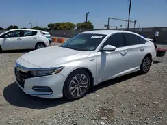 1HGCV3F10KA019954 2019 HONDA ACCORD