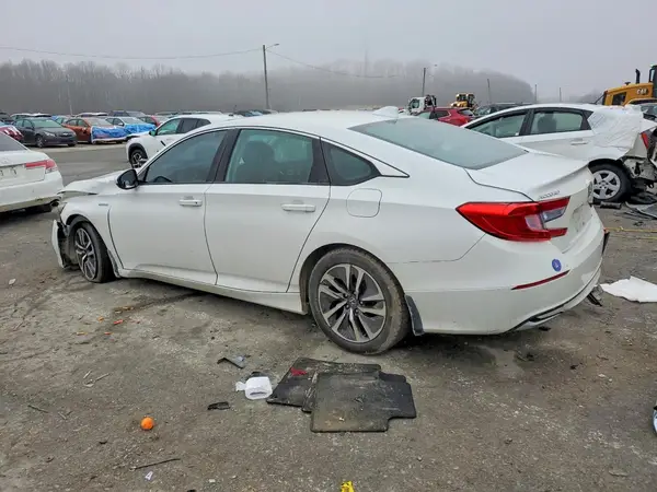 1HGCV3F12KA019955 2019 HONDA ACCORD - Image 2