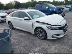 1HGCV3F13KA015347 2019 HONDA ACCORD
