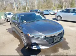 1HGCV3F56KA014986 2019 HONDA ACCORD