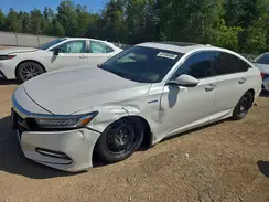 1HGCV3F92KA800531 2019 HONDA ACCORD