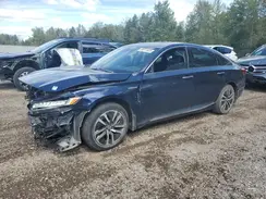 1HGCV3F93KA800618 2019 HONDA ACCORD