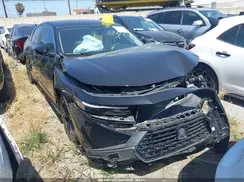 1HGCY1F20RA062317 2024 HONDA ACCORD