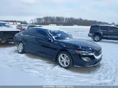 1HGCY1F21RA033442 2024 HONDA ACCORD