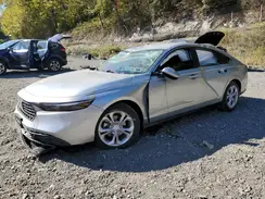 1HGCY1F21SA043569 2025 HONDA ACCORD
