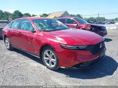 1HGCY1F23RA034477 2024 HONDA ACCORD