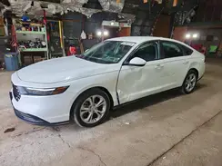 1HGCY1F23RA046256 2024 HONDA ACCORD