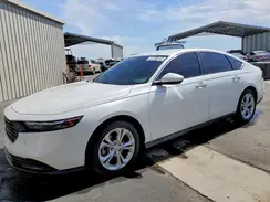 1HGCY1F23RA067883 2024 HONDA ACCORD