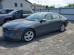 1HGCY1F24RA017798 2024 HONDA ACCORD