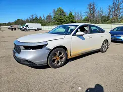 1HGCY1F26RA076500 2024 HONDA ACCORD
