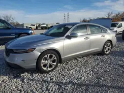 1HGCY1F2XRA014484 2024 HONDA ACCORD
