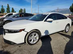1HGCY1F2XRA084051 2024 HONDA ACCORD