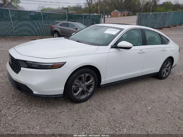 1HGCY1F30RA001901 2024 HONDA ACCORD - Image 2