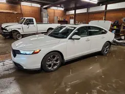 1HGCY1F30RA008749 2024 HONDA ACCORD