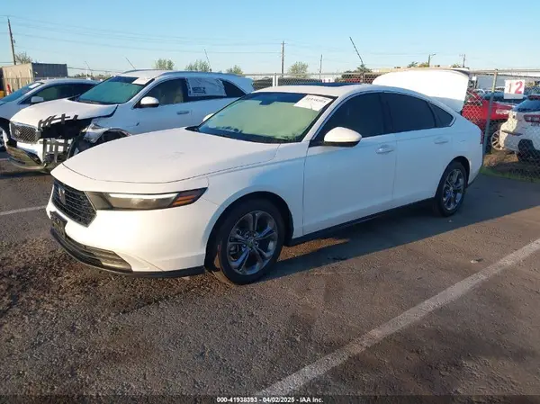 1HGCY1F30RA013319 2024 HONDA ACCORD - Image 2