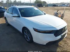 1HGCY1F30RA023977 2024 HONDA ACCORD